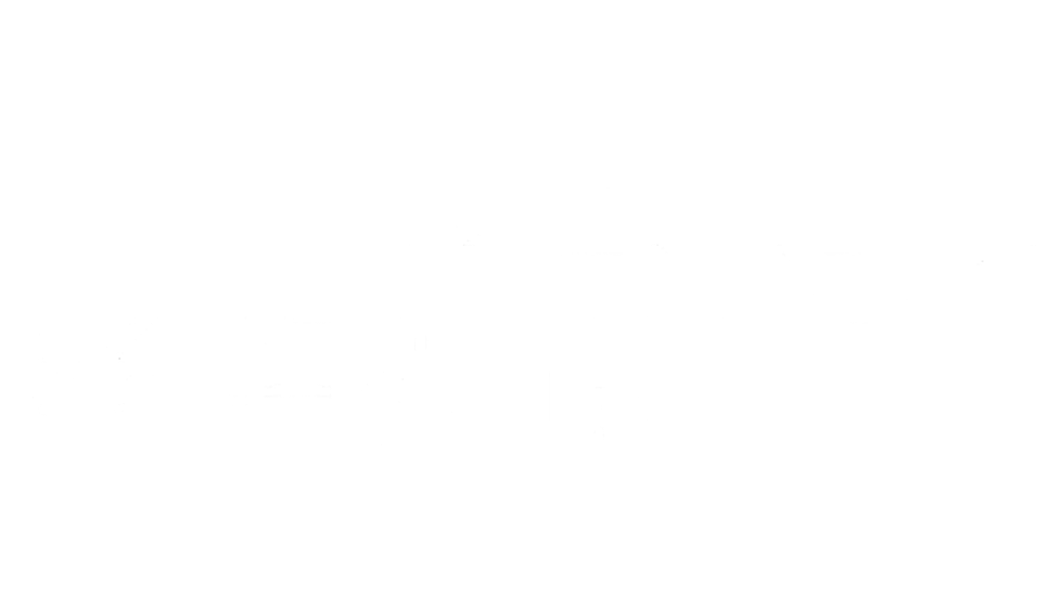 获得丝路视觉战略投资
