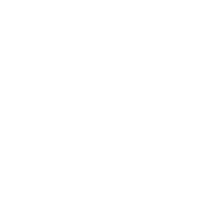 专精特新小巨人企业